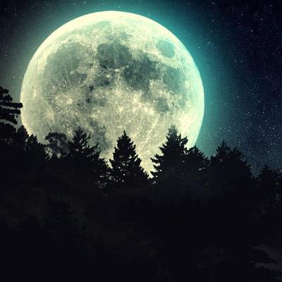 Conócete a ti mismo, conoce tus límites, debilidades y fortalezas