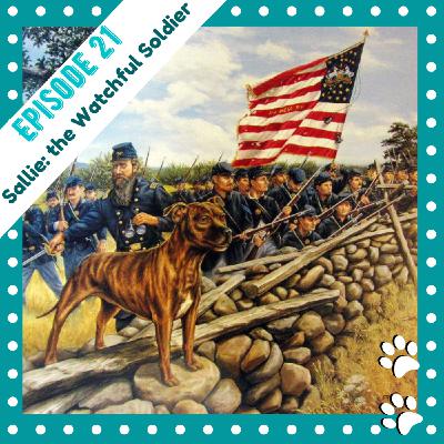 Sallie: The Watchful Soldier
