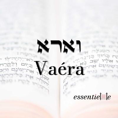 5786 - Vaéra - Les étapes dans la Gueoula d’Israël