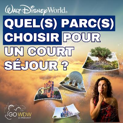 Quel(s) parc(s) choisir lors d'un court séjour à Walt Disney World ?