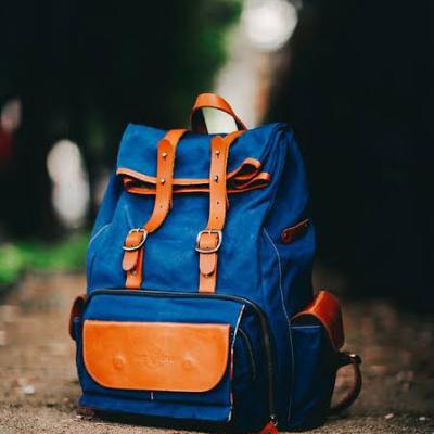 Describe a bag you want to own