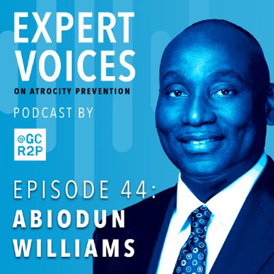 Episode 44: Abiodun Williams