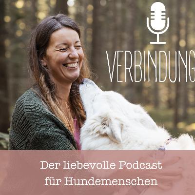 Umgang mit Tierarzt-Angst Umgang mit Tierarzt-Angst
