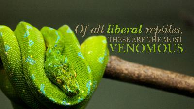 Catholics and the spirit of liberalism Catholics and the spirit of liberalism