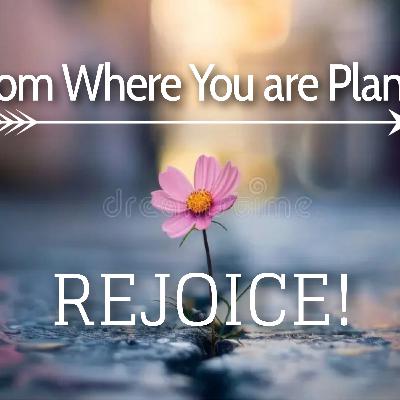 Bloom Where You are Planted: REJOICE!