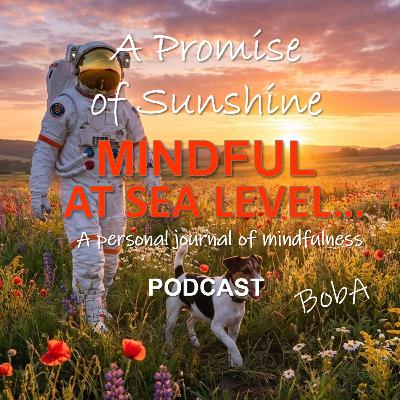 A Promise of Sunshine