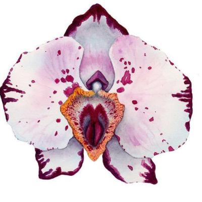 Sexualidad. Vulva y Vagina, las “chicas súperpoderosas” ( parte 1) Sexualidad. Vulva y Vagina, las “chicas súperpoderosas” ( parte 1)