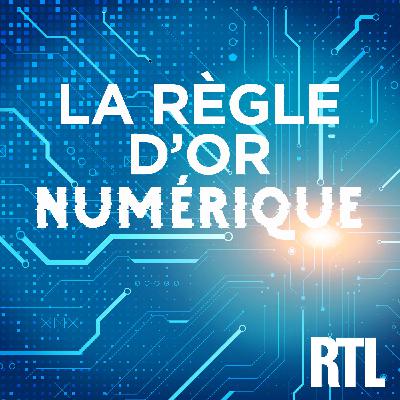 RÈGLE D'OR NUMÉRIQUE - Vinted envahi par les photos générées par l'IA : comment repérer ces annonces trompeuses ?