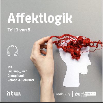 Gruppendynamik und Affektlogik Teil 1 Gruppendynamik und Affektlogik Teil 1