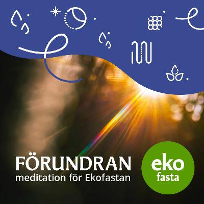 FÖRUNDRAN meditation för Ekofastan