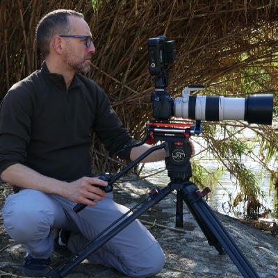 La Radio del Somormujo - Programa 249. David Perpiñán, reintroducciones de aves