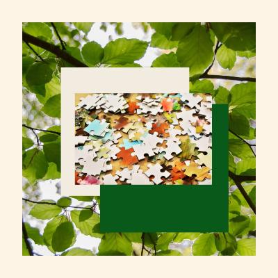 Bosque veraniego Bosque veraniego