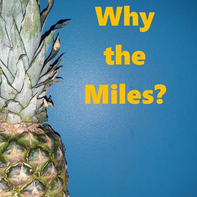 Less About the Detail, More About the Why