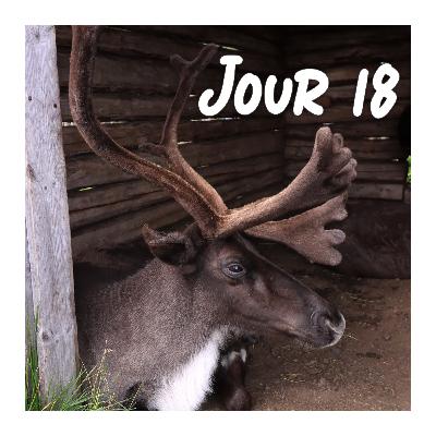 Jour 18 - Musée Sami, rennes et vie au ralenti Jour 18 - Musée Sami, rennes et vie au ralenti