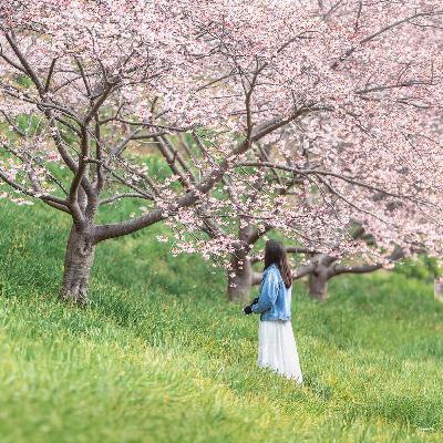 ep.481 花粉MAXの中、春の合宿スタート！秘境ハウスの手入れって大変