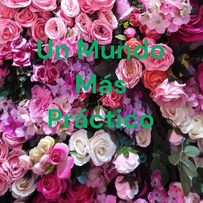 "Un mundo más práctico"