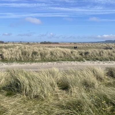 Naturescapes: Getting A Helping Hand From The Natural World