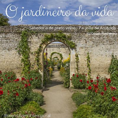 O jardineiro da vida #09 O jardineiro da vida #09