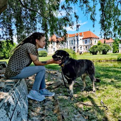 S02Ep2 - Cum ne-a schimbat câinele viața?