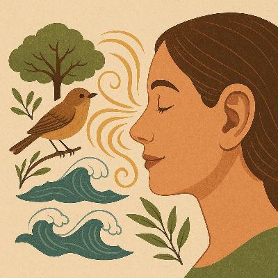El sonido influye: Cómo moldea nuestras vidas y nuestro bienestar