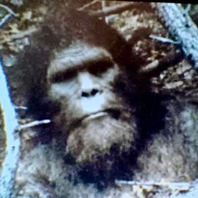 Navy SEALS Finally Spill the Beans on NEW SPECIES in our National Parks Navy SEALS Finally Spill the Beans on NEW SPECIES in our National Parks