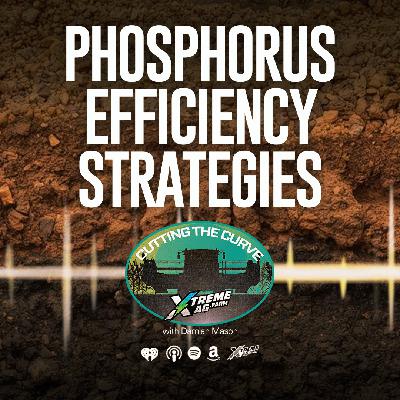 Farming Podcast | Reducing Phosphorus Fertilizer Costs | XtremeAg