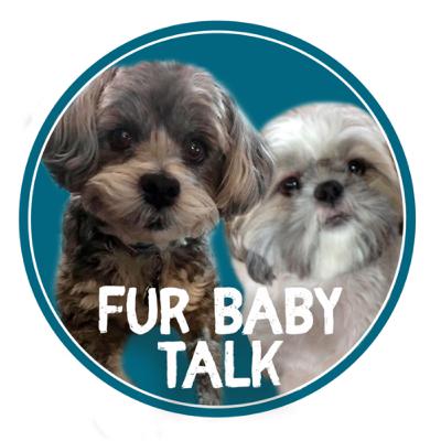 Fur Baby Talk (Trailer) Fur Baby Talk (Trailer)