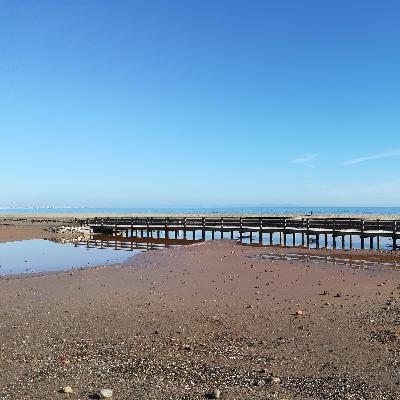 EL podcast de J.D.Sánchez 005 - ¿Qué pasa con Turaniana? - EL podcast de J.D.Sánchez 005 - ¿Qué pasa con Turaniana? -