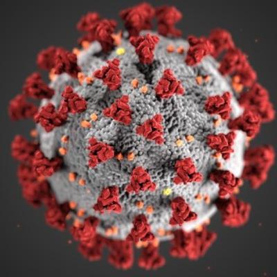 Introducción a los Virus