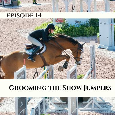 Ep. 14 Show Jumping Grooming With Mandie A.