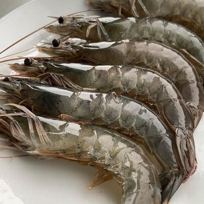 EP23｜吃「蝦」不瞎：認識產業，聰明選購，新鮮料理一把罩！