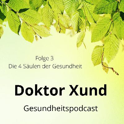 Die 4 Säulen der Gesundheit