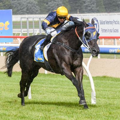Episode 112 - Champagne & All-Aged Stakes Day
