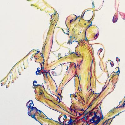 The Mantids For Beginners Part 2