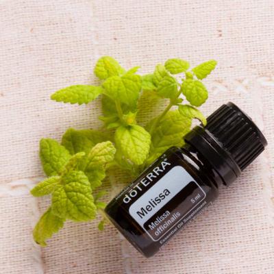 Melissa (Melissa officinalis)