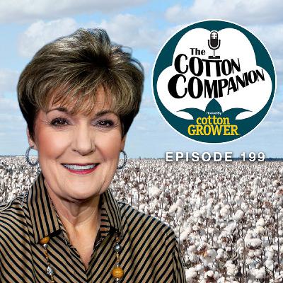 Plant Not Plastic: Cotton Takes On Microplastics and Polyester Plant Not Plastic: Cotton Takes On Microplastics and Polyester