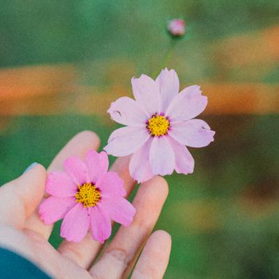 #3 Nếu ai cũng sến thì làm gì có chiến tranh