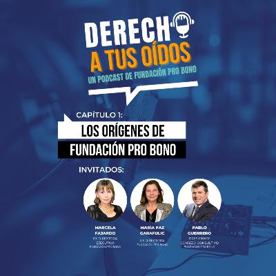 Los orígenes de Fundación Pro Bono