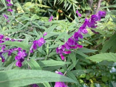 2025.11/18  不安定はネガティブではない from Radiotalk