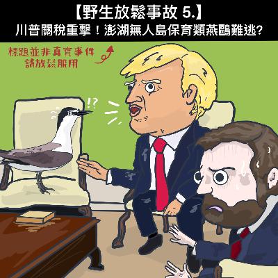 野生放鬆事故5. 川普關稅重擊！澎湖無人島保育類燕鷗難逃?