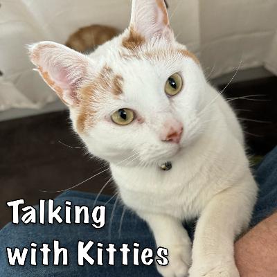 The Short Sads The Short Sads