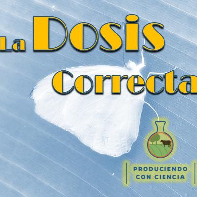 La Dosis Correcta Episodio 2: Identificando Plagas en la Finca