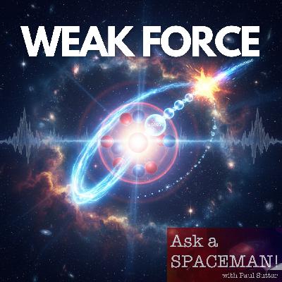 AaS! 260: What's the Big Deal with the Weak Force? AaS! 260: What's the Big Deal with the Weak Force?