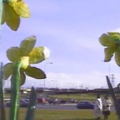 Síle Nic Suibhne as Cnoc Fola ó dhúchas. Síle Nic Suibhne as Cnoc Fola ó dhúchas.