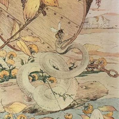 The Wasp and the Snake The Wasp and the Snake