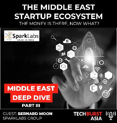 052: THE MIDDLE EAST STARTUP ECOSYSTEM: The money is there, now what? 052: THE MIDDLE EAST STARTUP ECOSYSTEM: The money is there, now what?