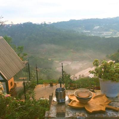 #7. Trên đồi tái sinh - Tống Phước Bảo