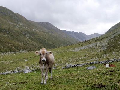 Das Platzertal. Eine Begehung mit Einheimischen