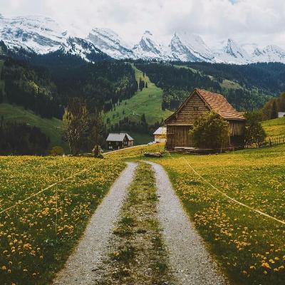Trad Women & Trad Life (essay)