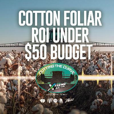 Farming Podcast | Cotton Foliar ROI Under $50 Budget | XtremeAg
